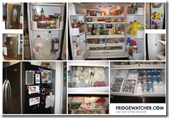 fridgewatcher_00077